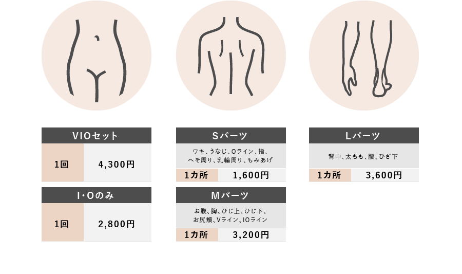 料金表